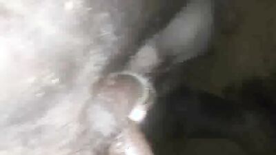 Fucking dogging porn: me sex dog