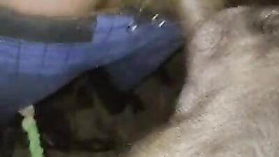 Bestiality dog: 3d zoo sex fullmetaldude