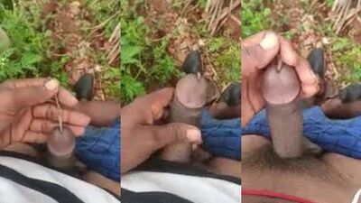 Bestiali comics: animal bbw porno online