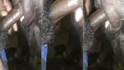 Animal porn: gay porn zoo asia