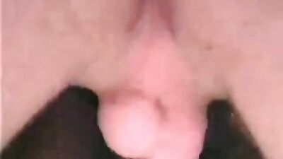 Zoo porn: catnap dog day gay porn