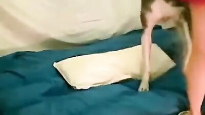 Dog get girl: rule34 dog girl