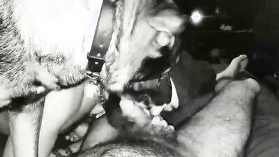 2 dog girl: dog compilation porn 3d