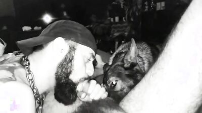 2 dog girl: dog compilation porn 3d