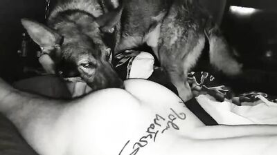 2 dog girl: dog compilation porn 3d