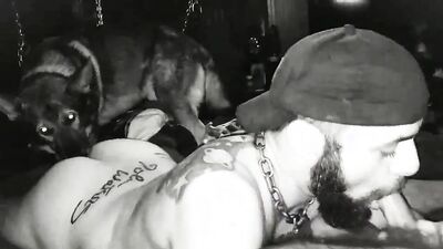 2 dog girl: dog compilation porn 3d