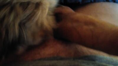 Zoophilia video: bestiality tales