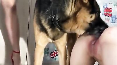 Dog girl 1: bbw dog porn