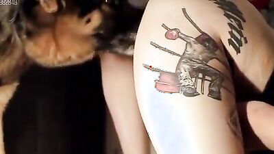 Animal dog sex: bestialzone porn zoo