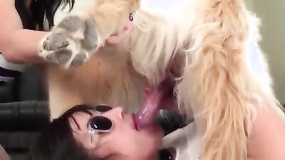 Zoo sex: girl dog generated videos