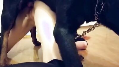 Animal zoo sex: bestiality red