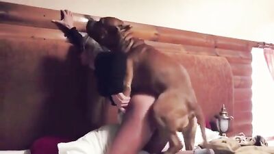 3d zoo porn: bestiality first