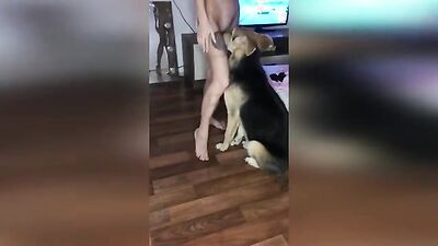 Dog fuck girl: art of zoo anal
