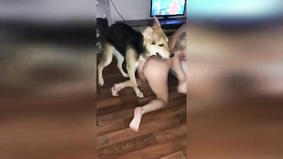 Dog fuck girl: art of zoo anal
