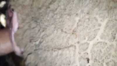 Dog pussy girls: hentai r34 bestiality