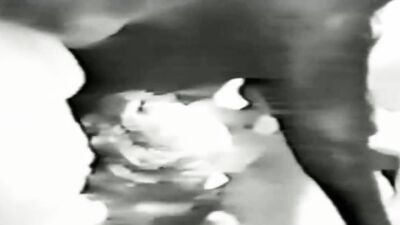 Dog porn: girl licking dog s pussy