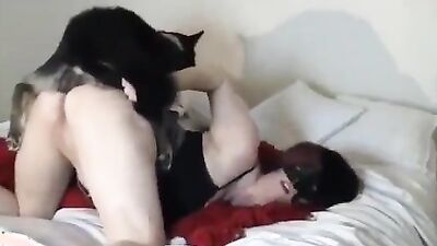 Dog gay porn: dog sex porn animation mult