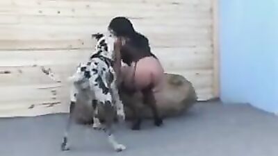 Dog sex porn: the princess the poosh zoo video