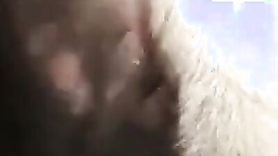 Zoo dog porn: zoo sex hardcore