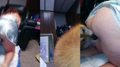 Dog sex video: zapretnoe zoo porno video teen girls teens
