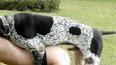 Mimi dog porn: zoo porn incest