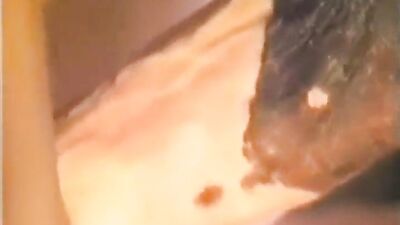 Dog porn video: dog fuck big ass girl