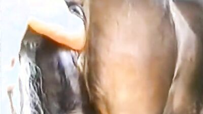Dog porn video: dog fuck big ass girl