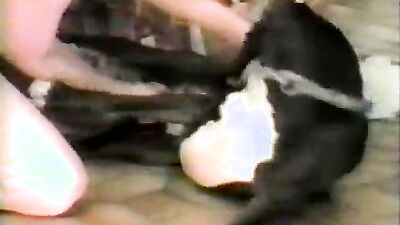 Dog porn video: dog ride porn