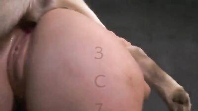 Zoo porno video: zoophilia horse