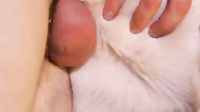 Bestiality hentai: wild dog sex