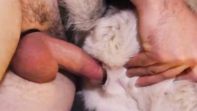 Bestiality hentai: wild dog sex