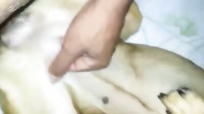 Animal cross porn: sex animals videos zoo