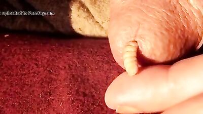 Zoo porn 2026: raven dog sex
