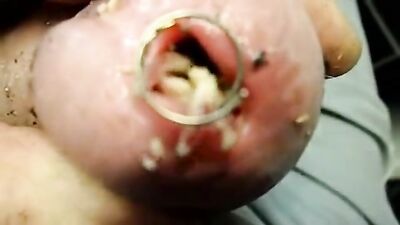 Dog licking girl: zoo woman sex porn games