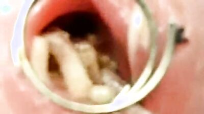 Dog licking girl: zoo woman sex porn games
