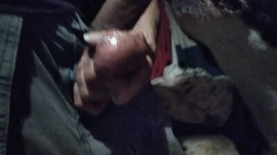Zoo dog sex: animals porno pics