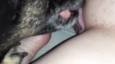 Zoo fuck porn: zoophilia tube