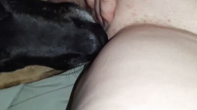 Zoo fuck porn: zoophilia tube