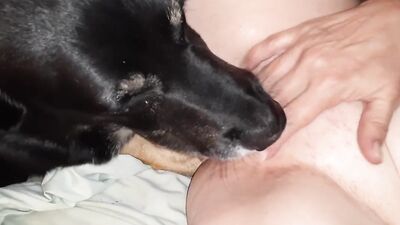 Zoo fuck porn: zoophilia tube