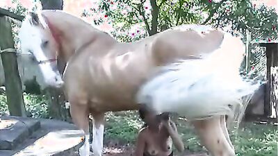 Russian zoo porn: nana dog porn
