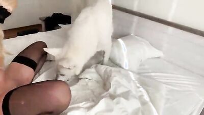 Dog teen girls: rule 34 bestiality horse
