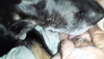 2 dog girl: zoo porn orgasm
