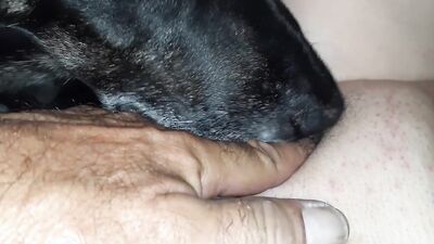 2 dog girl: zoo porn orgasm
