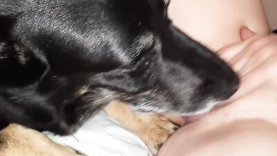 2 dog girl: zoo porn orgasm