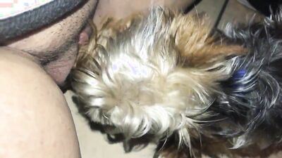 Bestiality hentai: dog penis sex