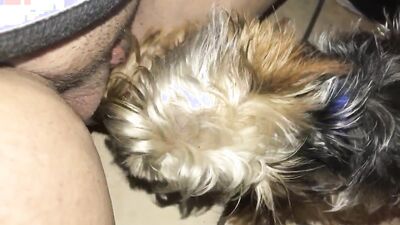 Bestiality hentai: dog penis sex
