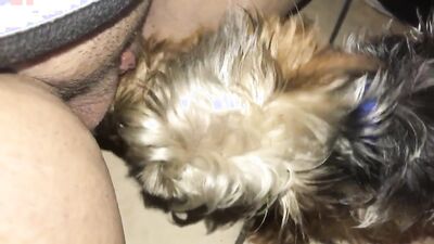 Bestiality hentai: dog penis sex