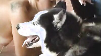 Bestiality video: 3d hentai zoophilia porn cartoon