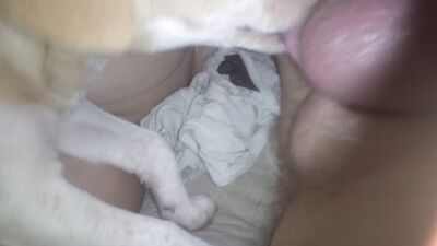 Bestiality hentai: dog girl 3d