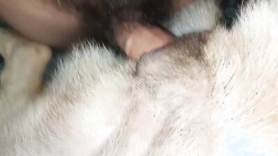 Zoo porn girls: oldman teen zoo porn vintage